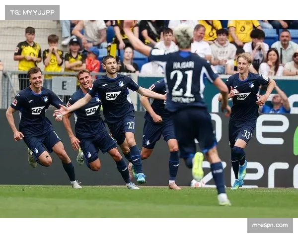 霍芬海姆迎战多特蒙德：中场核心伤缺影响几何？